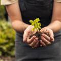 Capturing the beauty of gardens across the year